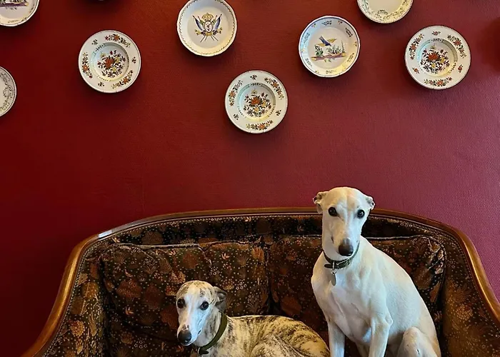 Hotel Hôtel-restaurant De La Paix Saint-Palais (Pyrenees-Atlantiques)